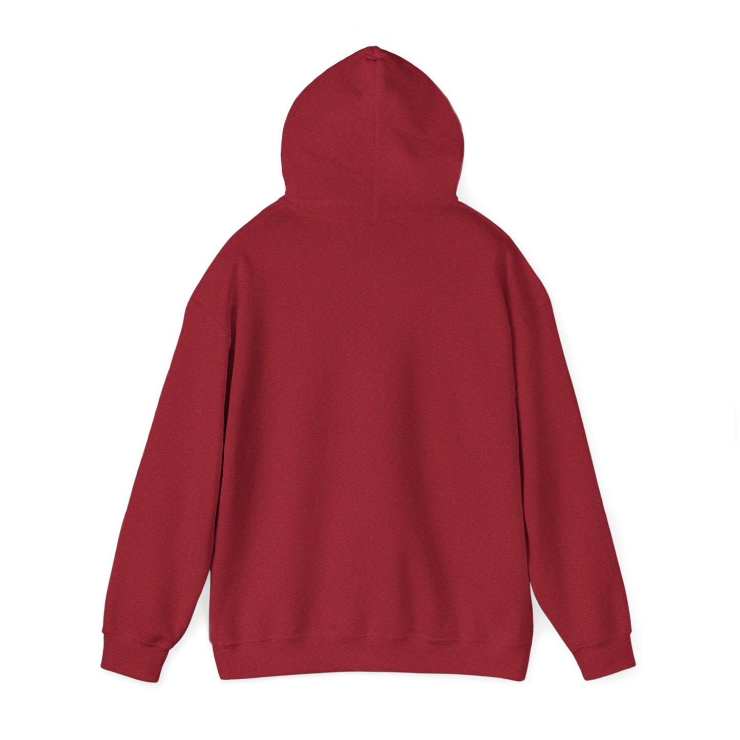 Non-Cryptic Hoodie - Unisex Hooded Sweatshirt